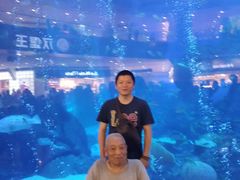 -成都浩海立方海洋公园