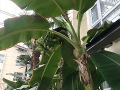 -兴芮温泉度假区