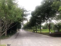 -映月湖中央公园