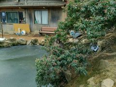 -岚山猴子公园