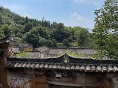 -杨家堂村