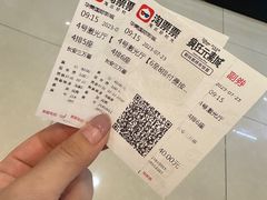 -华美国际影城(旧宫永辉店)