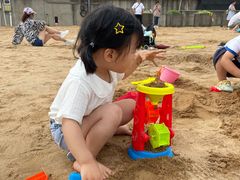 -奉贤海滩