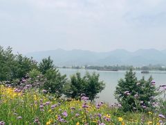 -东梓关景区村庄