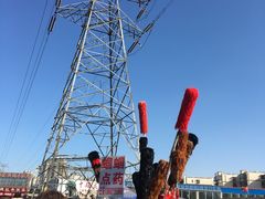 -中环花鸟鱼虫市场