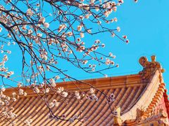 -故宫博物院(故宫)