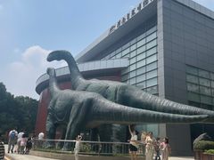 -河南自然博物馆