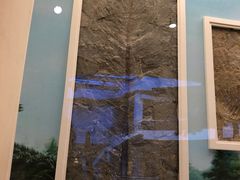 -辽宁古生物博物馆