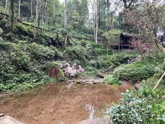 -青城山