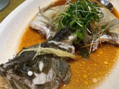 清蒸边鱼-濠景渔港(汇通店)