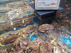 水产区-盒马鲜生(宝地店)