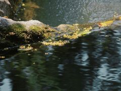 -成都市活水公园