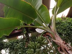 -第五季龙水凤港生态露营农场