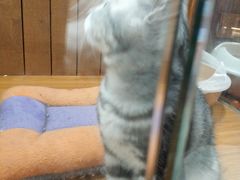 -龟与熊猫宠物公园(南坪店)