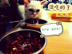 -宠物世家(仲盛世界商城店)