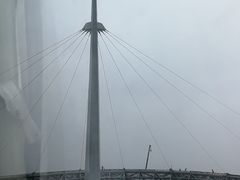 -港珠澳大桥码头
