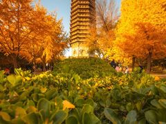 -玲珑塔公园