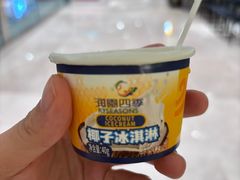 -润园四季椰子鸡火锅(卓越INTOWN店)