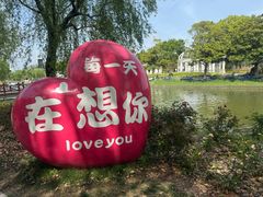 -上海鲜花港