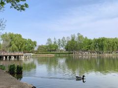 -西安浐灞国家湿地公园