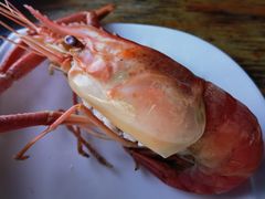 -水岸居湖景农家乐·阳澄湖大闸蟹