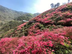 -木兰云雾山