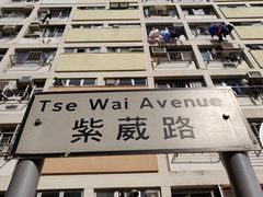 -彩虹村