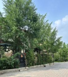 -芙蓉花月子会所(朝阳区店)
