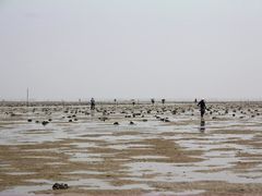 -北海金海湾红树林生态旅游区