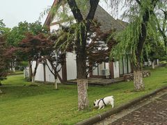 -太阳岛度假酒店