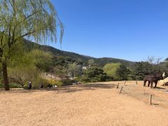 -北京西山国家森林公园