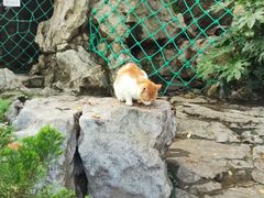 -静安公园(静安寺街道)