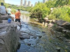 -重庆彩云湖湿地公园