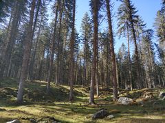 -硗碛藏寨·神木垒景区