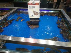 -盒马鲜生(红莲店)