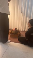 -爱帝宫月子中心(罗湖别墅院)