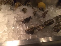 -Oyster Talks 四度蚝法餐厅
