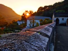 -雁南飞茶田景区