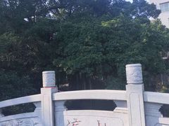-小洲村