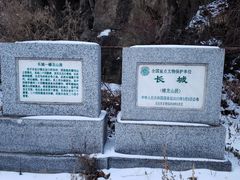 -蟠龙山长城景区