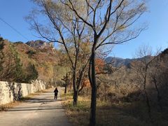 -云岫谷自然风景区
