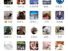 -北京派仕佳德动物医院·超导核磁·CT·神经科·骨科·内外科·急重症管理中心
