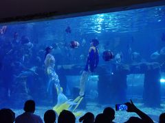 -台州海洋世界