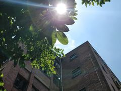 -黄桷坪涂鸦艺术街