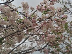 -观澜湖生态运动公社