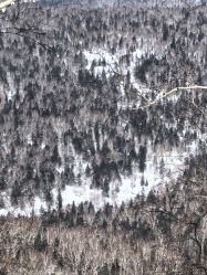 -大秃顶子山(雪谷店)
