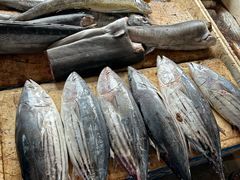 -尼甘布海鲜市场