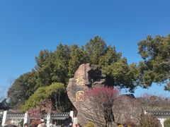 -无锡梅园公园