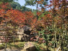 -广州市帽峰山景区