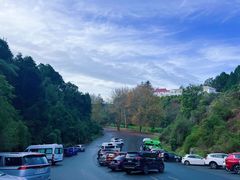 -怀托摩萤火虫洞